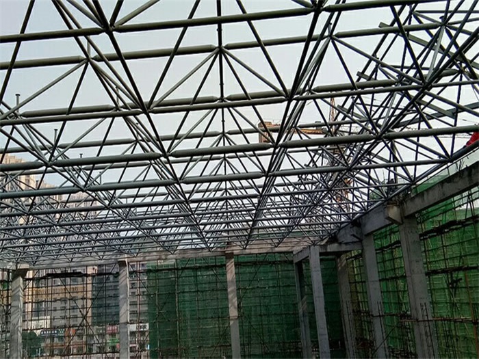 广水光谷第十一小学网架